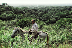 Tours in Nicaragua