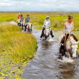 Horseback Riding