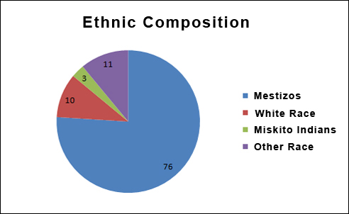 Ethnic Composition
